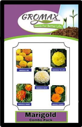 Gromax India Marry Gold (Combo pack) for home garden Seed