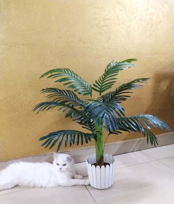 Olive Trees Artificial Areca Palm Tree WITHOUT POT Plant 85 CM Artificial Plant