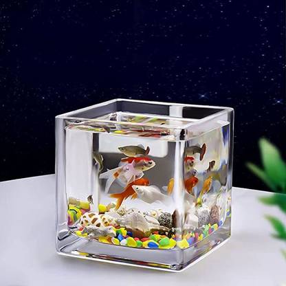 Golus suppliers 4" Square Tank Cube Aquarium Tank
