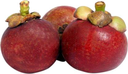 Spar Mangosteen