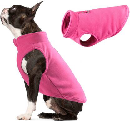 PETANGEL Winter Jacket for Dog, Cat