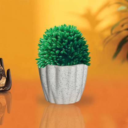 Lasaki Ruby Ceramic Pot for Indoor Plants | Planters Flower Pots Gamla Succulent Pot Outdoor (Color: White) (Dia:9 cm, H:7 cm) Plant Container Set