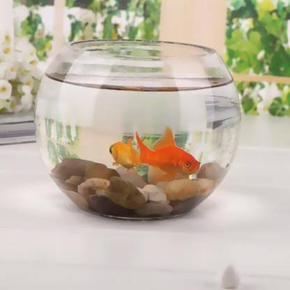 AJAY CENTER 10" Aquarium Tank 24 Round Ends Aquarium Tank
