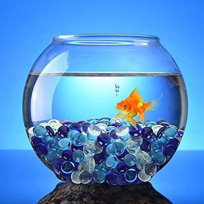 AJAY CENTER 10" Aquarium Tank 3 Round Ends Aquarium Tank