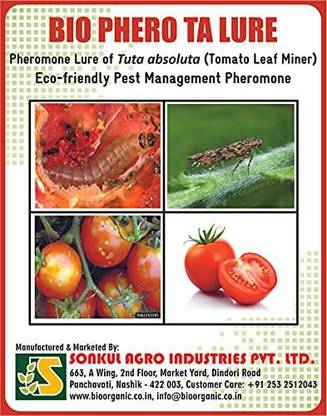 AVA BIO SOLUTIONS Tomato Leaf Miner Bio Phero TA Lure (Tuta Absoluta) Pheromone Lure Includes - 5 Lures & 5 Traps
