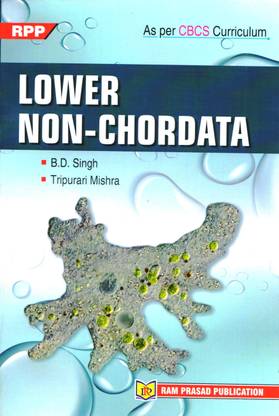 LOWER NON-CHORDATA