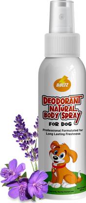 BOLTZ Lavender Deodorizer