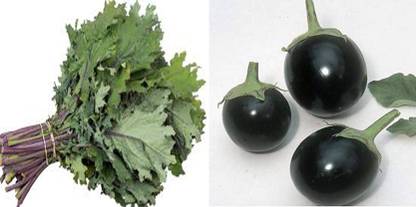 xcentax CHU - CHU brinjal, RED KALE RUSSIAN Seed