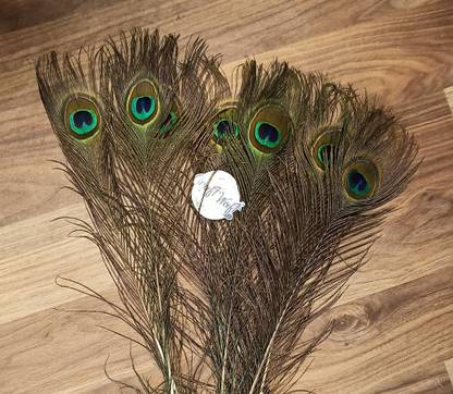 CRAFTWAFT Pack of 5 Decorative Feathers