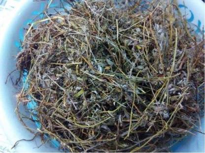 VIPASHYA Shankhpushpi Seed_100gms, Shankhini, Kambumalini Seed