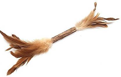 PETS EMPIRE Silvervine for Cats, Interactive Cat Toys for Indoor Cats with Natural Silvervine Sticks, Cat Chew Toy with Cat nip, Kitten Teething Catnip Toys for All Ages Cats Fiber Treat Dispensing Toy For Cat