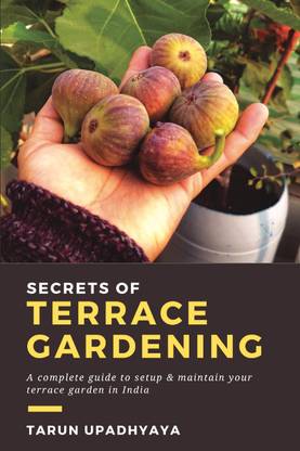 Secrets of Terrace Gardening  - A Complete Guide to Setup and Maintain Your Terrace Garden in India
