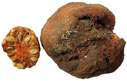JJWMART Wood Apple Seed