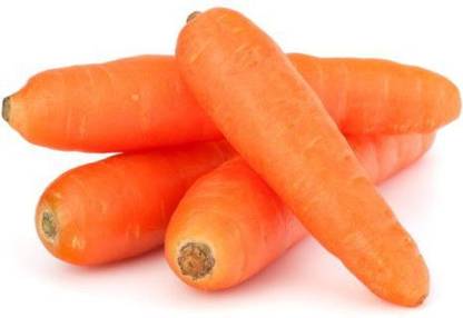 Carrot - Ooty