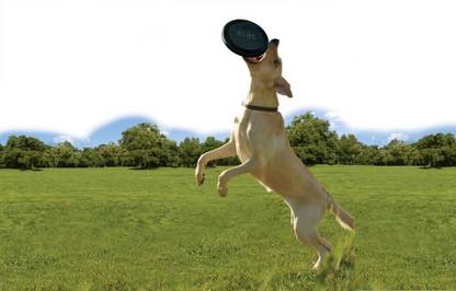 KONG Extreme Flyer Large Rubber Fetch Toy For Dog