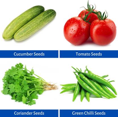 GARDENING CROP 4 Varieties All Season Vegetable Seeds Combo, Summer, Spring & Winter Season Vegetable Seeds, Cucumber Seeds, Tomato Seeds, Coriander Seeds, Green Chilli Seeds, Vegetable Seed