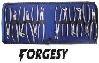 Forgesy Imported Extraction Forceps Kit, Set of 12 pcs (Stainless Steel) Medical Equipment Combo