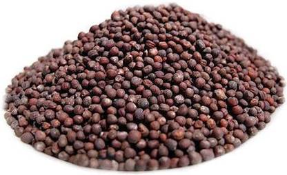 ORCHIDGREEN CARROTE Seed