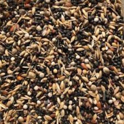 Bajri birds food list Clearance