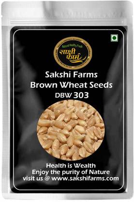 Sakshi Farms Brown Wheat Seeds DBW 303, for Sowing, Farming, Agriculture & Kheti, DBW 303 variety wheat Seed