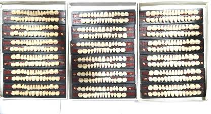 pyrax Dental Teeth Combo Set (25 24 and 23 )Shade Acrylic Teeth Kit Dental Elevator