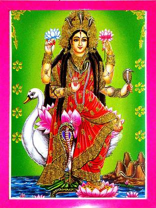 SUNINOW MANASA DEVI | NAG DEVI | GODDESS OF SNAKES | HINDU GODDESS | MANSA DEVI Religious Frame