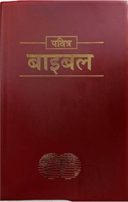 Hindi Holy Bible Easy to Read version Revised Vinyl Bound Paperback, Old and New Testament (ERV) Hindi Bible  - Hindi Bible Easy To Read Version Revised Vinyl Bound Paperback ,Old And New Testament