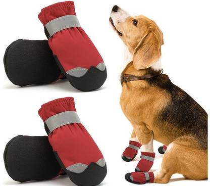 PETANGEL Shoes for Dog, Cat