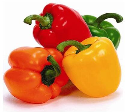 VibeX ® XXL-317 Capsicum Vegetable Kit - 4 Packets (Green, Red, Purple, Yellow) Seed