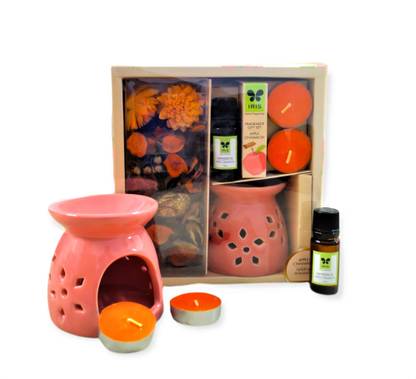 IRIS home fragrances CINAMON Diffuser Set, Potpourri, Aroma Oil FRAGRANCE GIFT SET INFG0324AC