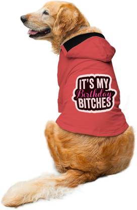 RUSE Hoodie for Dog