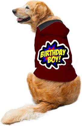 RUSE Hoodie for Dog