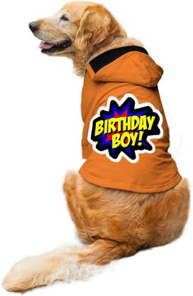 RUSE Hoodie for Dog