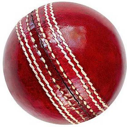 The Bhavya Sports Leather Ball Cricket Leather Ball
