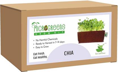 Sow and Grow Microgreens Grow Kit: Chia 30 Grams, Easy to Use Kit for Beginner Gardeners, Gardening Set to Grow at Home Seed