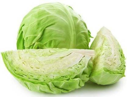 Lookseeds Patta-Gobhi/Cabbage Seeds Per packet 200 seeds Vegetable Plant Container Set