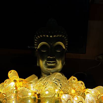 Lovey Retailers Ball Shaped Circular String Lights / Bedroom and Room Wall Decoration Lights /Festival Decorations Lights / Christmas Tree Lightings LED Garland Pack of 1