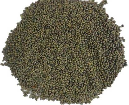 Numinous Dhaincha, Sesbania Bispinosa, Prickly Sesban, Green Manure, Malaimurungai Seed