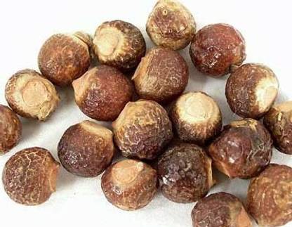 syed garden soap nut seed, Sapindus Mukorossi Seed