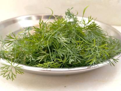 Mozette Organic soya dill Seed
