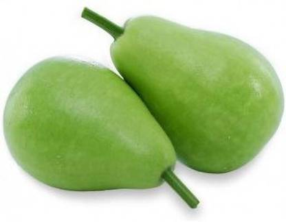 Advance BOTTLE GOURD, LOKI, GIYA Seed