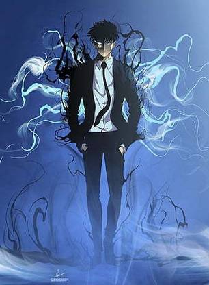 Sung Jin Woo Solo Leveling Matte Finish Poster Paper Print