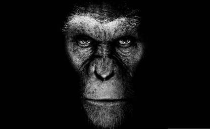 Movie The Film Monkey Black Background Matte Finish Poster Paper Print