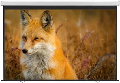 Inlight Universal Wall Type 84 inches Diagonal 4:3 Picture Aspect Ratio 6 Ft x 4 Ft Pull Down Spring Action No Autolock Projector Screen, 1080P-UHD-3D-4K Compatible(White) Projector Screen (Width 183 cm x 122 cm Height)