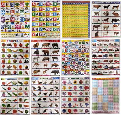 Wall Charts Lamination