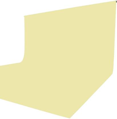 Vistook 8FTX14FT Beige Backdrop Background for Photography Screen For Studio Reflector