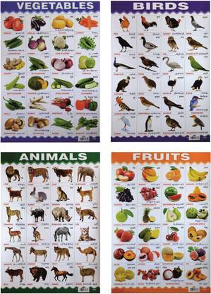 4 Combo Charts ( Tamil, English And Hindi ) Anilmals,Vegetables,Fruits And Birds