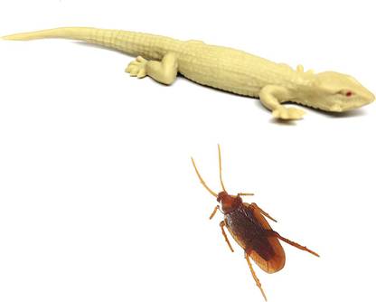 RVM Toys Pack of 1 Fake Cockroach 1 and Fake Lizard Geeko Practical Jokes and Prank Trick Toys Prank Toy Gag Toy