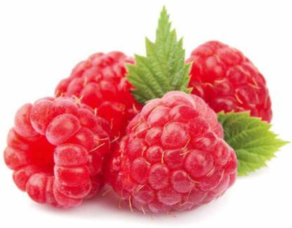 Paudha Raspberry fruit Seed
