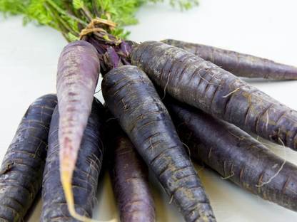 XOLDA Black Carrot Seed